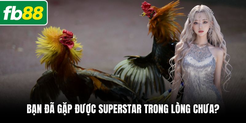 Bạn đã gặp được superstar trong lòng chưa?
