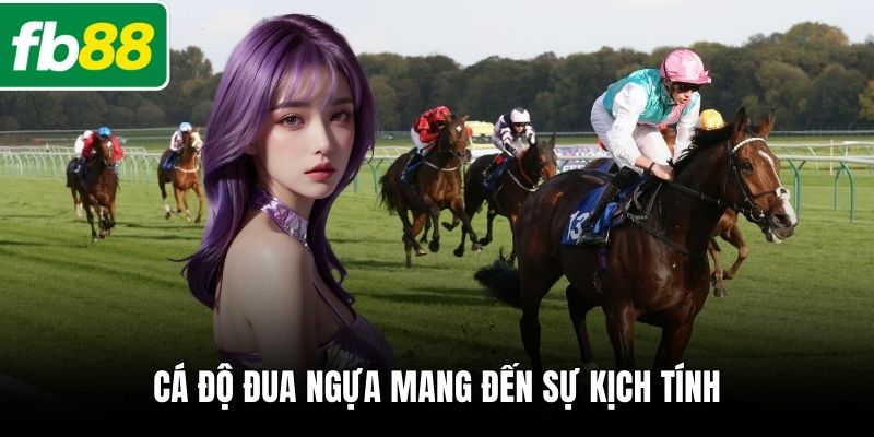 Cá độ đua ngựa mang đến sự kịch tính