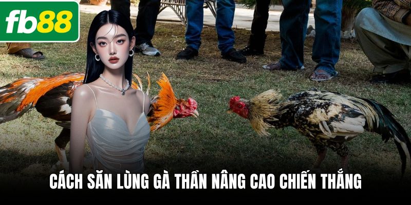 Cách săn lùng gà thần nâng cao chiến thắng
