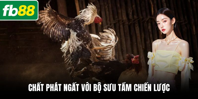 Chất phát ngất với bộ sưu tầm chiến lược