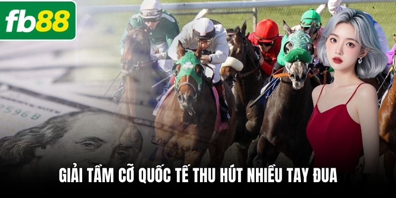 Giải tầm cỡ quốc tế thu hút nhiều tay đua