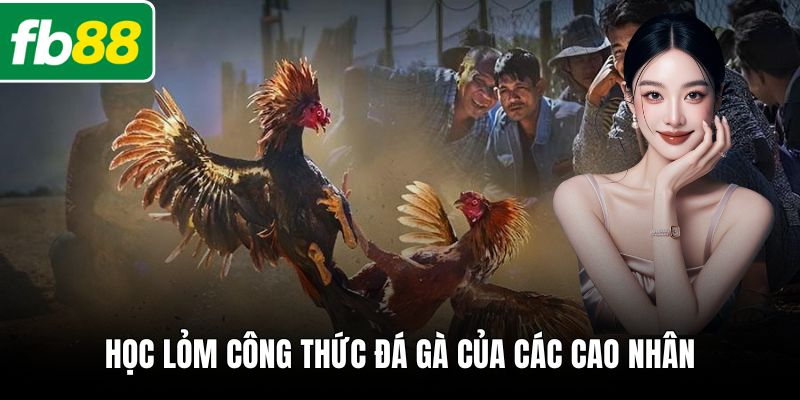 Học lỏm công thức đá gà của các cao nhân