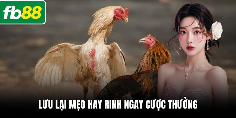 Lưu lại mẹo hay rinh ngay cược thưởng