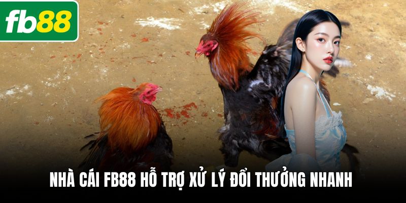 Nhà cái FB88 hỗ trợ xử lý đổi thưởng nhanh