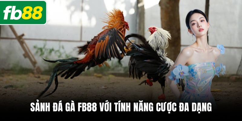 Sảnh đá gà FB88 với tính năng cược đa dạng
