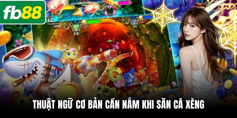 Thuật ngữ cơ bản cần nắm khi săn cá xèng